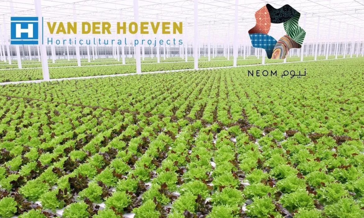 Saudi City of Future Enlists Dutch Help to Grow Crops in Desert