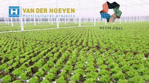 NEOM NEWS