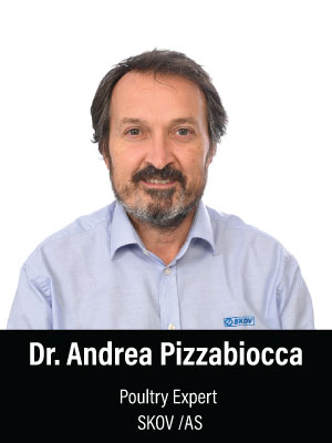 dr-andrea