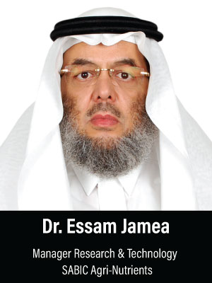 dr-essam-jamea